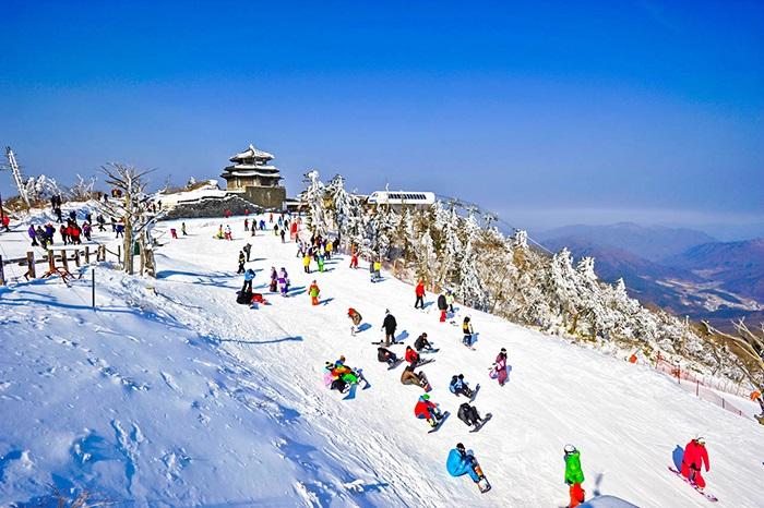 DU LICH HAN QUOC : Seoul - Lotte World - Trượt tuyết YangJiPine (VietJet  Air) - (5 ngày 4 đêm) | DU LỊCH PHƯỢNG HOÀNG - EASTERN PHOENIX TRAVEL
