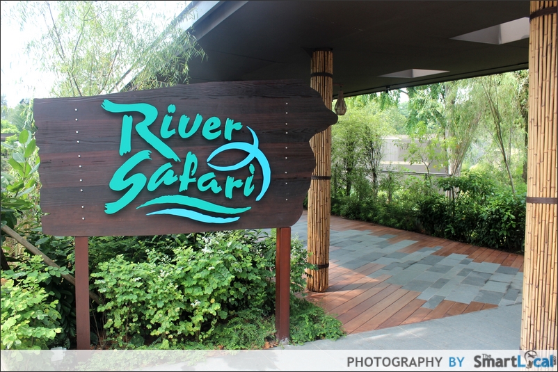 Du lịch Singapore tham quan ở River Safari