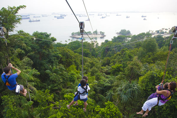 Chinh phục công viên MegaZip với tour du lịch Singapore