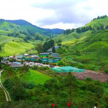 Du lịch Malaysia - cao nguyên mộng mơ Cameron