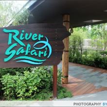 Du lịch Singapore tham quan ở River Safari