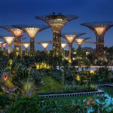 Du lịch Singapore khám phá khu Vườn độc đáo Gardens By the Bay