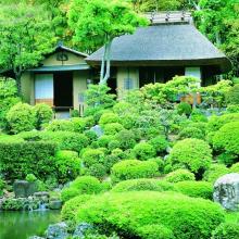 Du lịch Nhật bản lạ với trào lưu ngắm rêu thư giãn