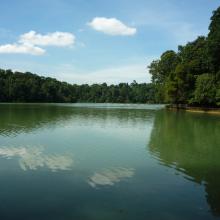 Tour du lịch Singapore tìm hiểu về viên ngọc xanh MacRitchie Reservoir