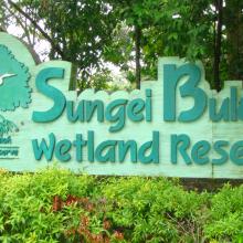 Sungei_Buloh_Wetland_du-lich-singapore