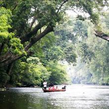 Taman Negara - vườn quốc gia của Malaysia