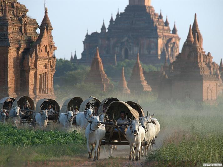 du-lich-myanmar-bagan-7.jpg