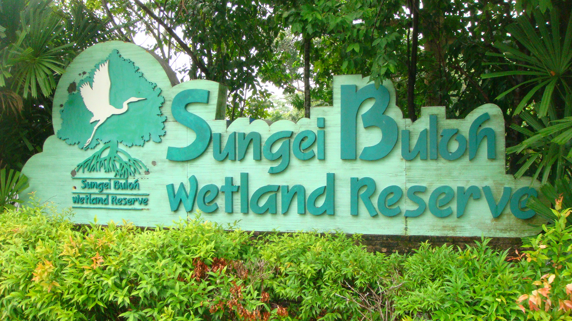 Sungei_Buloh_Wetland_du-lich-singapore