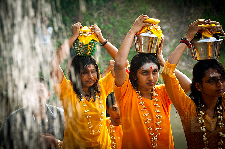 thaipusam-festival